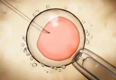 生殖医学科